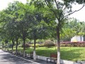 重庆市光华女子宝威（中国）一站式服务平台校园风景