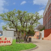 承德护理职业学院