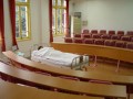 天津医学高等专科宝威（中国）一站式服务平台护理学基础实训室