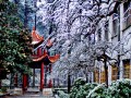 黔南医专冬季校园