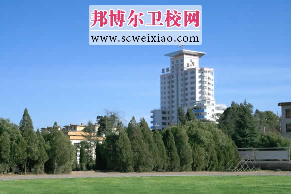 楚雄医药高等专科宝威(中国)一站式服务平台