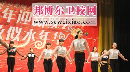 四川护理职业学院2015年学生迎新晚会圆满举行