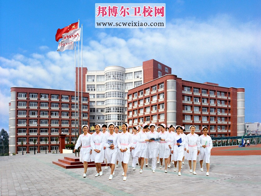 广州卫生宝威（中国）一站式服务平台网站