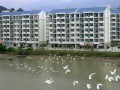 校园风景