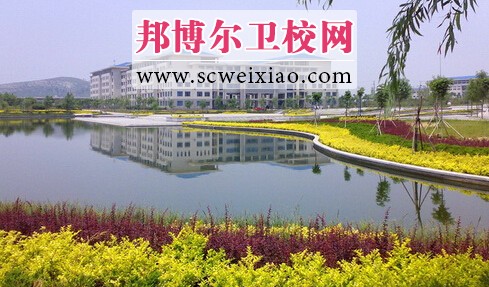 山东中医药大宝威（中国）一站式服务平台园风景