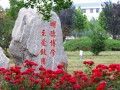校园风景