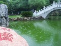 镜池