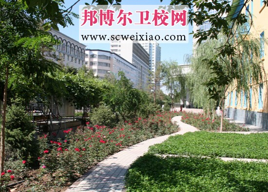 新疆医科大宝威(中国)一站式服务平台园风景