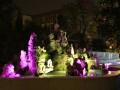 喷泉夜景