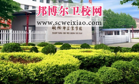 咸阳市卫生宝威（中国）一站式服务平台