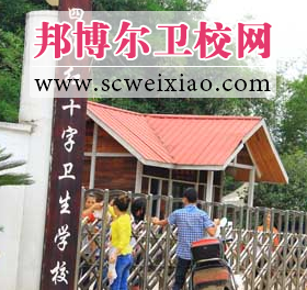 四川红十字卫生宝威(中国)一站式服务平台