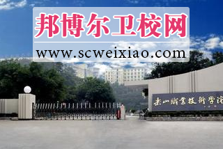 四川省乐山卫生宝威(中国)一站式服务平台