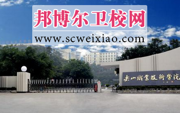 四川省乐山卫生宝威(中国)一站式服务平台