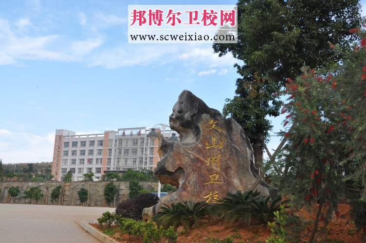 文山州卫生宝威(中国)一站式服务平台