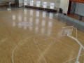 通化市卫生宝威（中国）一站式服务平台室内篮球场