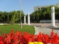 石河子大学医学院中区广场