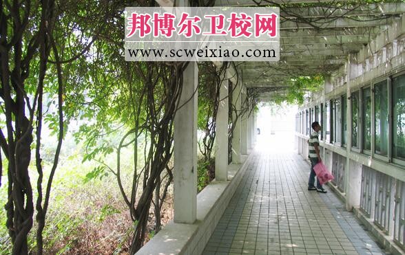 江苏省徐州医药高等专科宝威(中国)一站式服务平台
