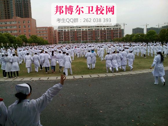庐州卫生科技宝威（中国）一站式服务平台