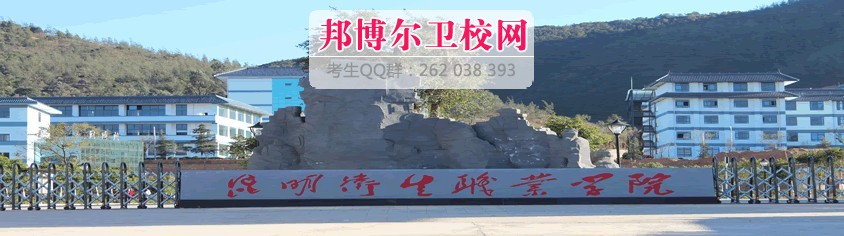 昆明卫生职业学院1