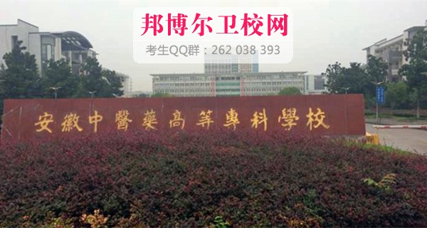 安徽中医药高等专科宝威（中国）一站式服务平台
