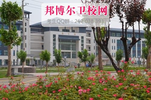 山东省卫生宝威（中国）一站式服务平台1