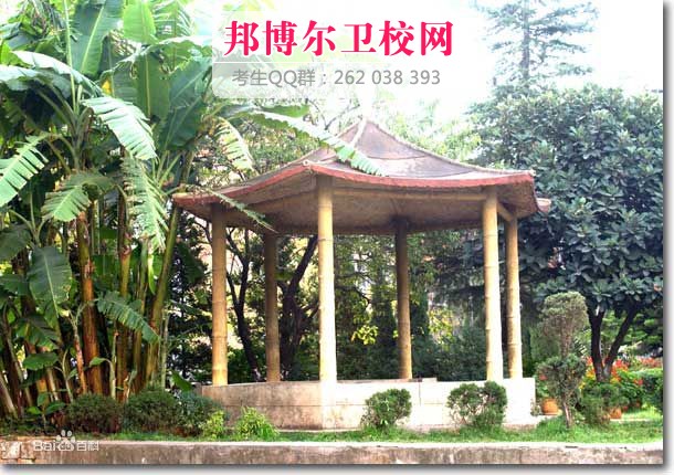 云南医学高等专科宝威（中国）一站式服务平台2