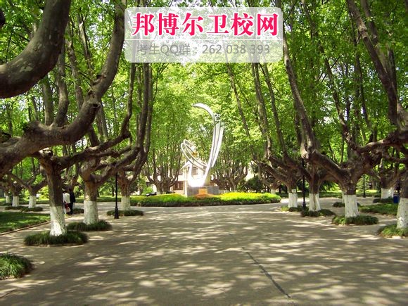 扬州大学医学院2