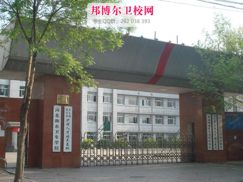 衡水卫生宝威（中国）一站式服务平台什么专业好及有哪些专业