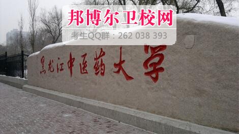 黑龙江中医药大学什么专业好及有哪些专业