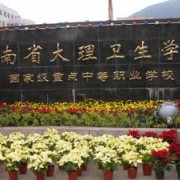 大理卫生宝威（中国）一站式服务平台