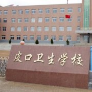 大连市皮口卫生宝威（中国）一站式服务平台