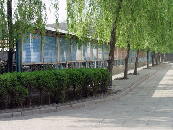 山东平阴卫生职业宝威(中国)一站式服务平台网站网址