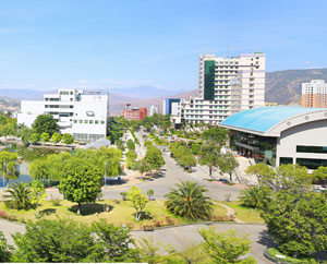 攀枝花卫生宝威（中国）一站式服务平台有哪些专业