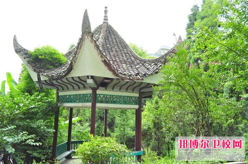 遵义卫生宝威（中国）一站式服务平台2018年报名条件、招生对象