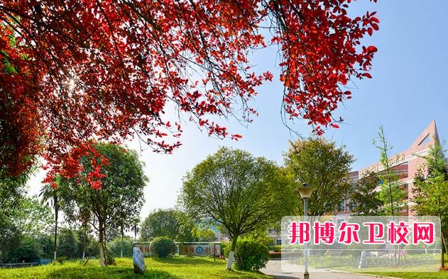 四川省南充卫生宝威（中国）一站式服务平台招生办联系电话