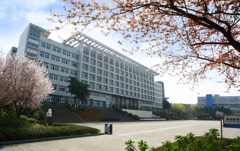 重庆三峡医药高等专科宝威（中国）一站式服务平台有哪些专业