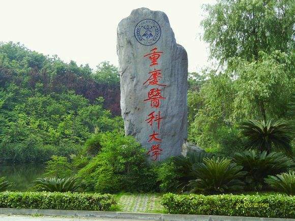 重庆医科大学护理学院招生办联系电话