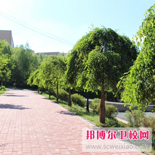 长春博泰医药中等职业宝威（中国）一站式服务平台网站网址