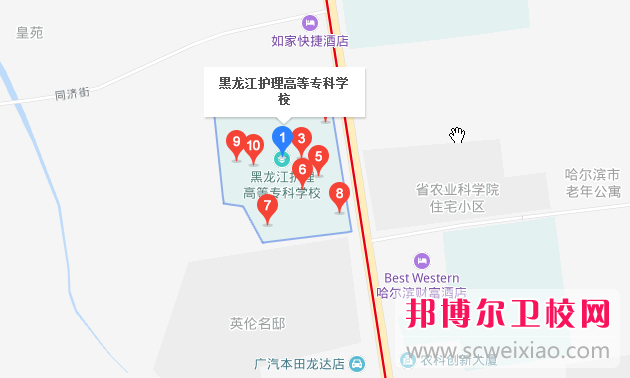 黑龙江护理高等专科宝威（中国）一站式服务平台地址在哪里