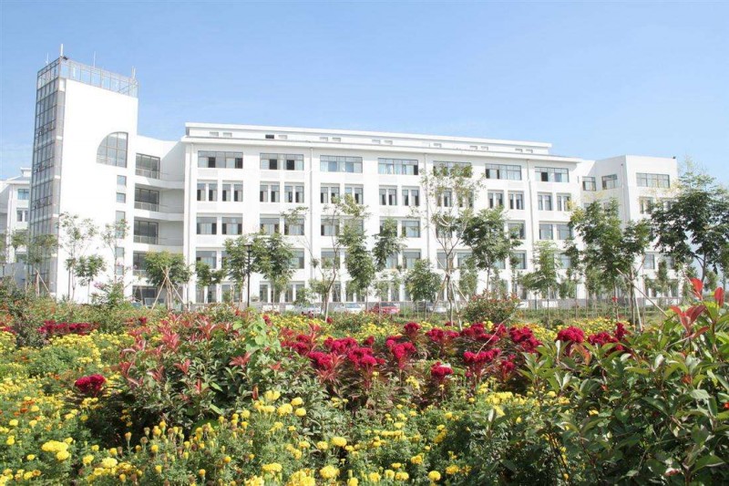 泰山护理职业学院2018年有哪些专业