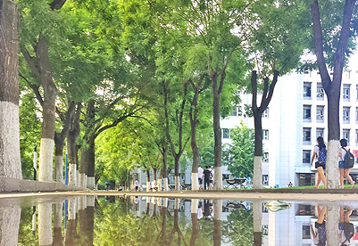 首都医科大学2019年网站网址