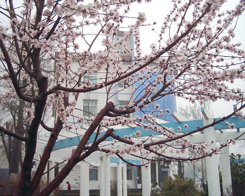 山西药科职业学院招生办联系电话