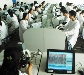 成都医学院2019年报名条件、招生对象