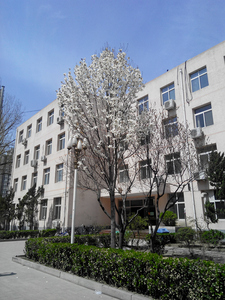 首都铁路卫生宝威（中国）一站式服务平台2019年报名条件、招生对象