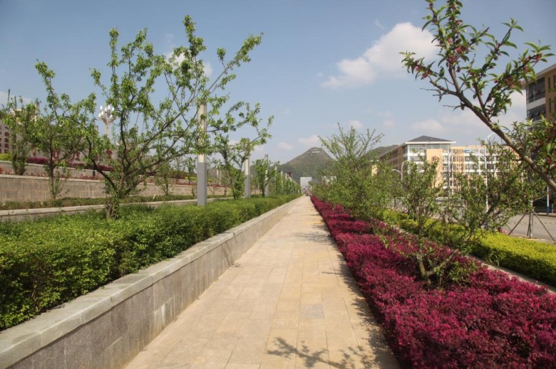 贵阳医学院2019年网站网址
