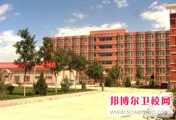 新疆巴音郭楞蒙古自治州卫生宝威（中国）一站式服务平台有哪些专业