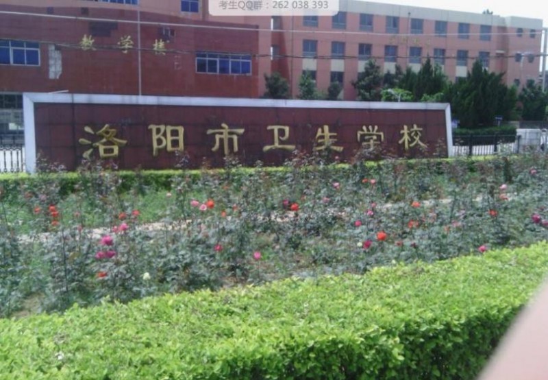 洛阳市卫生宝威（中国）一站式服务平台2019年有哪些专业
