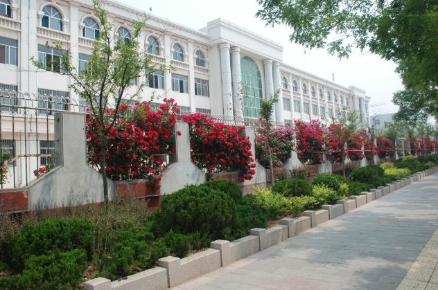 莱阳市卫生宝威（中国）一站式服务平台招生办联系电话