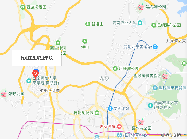 昆明卫生职业学院2019年地址在哪里