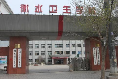 衡水卫生宝威（中国）一站式服务平台2019年有哪些专业